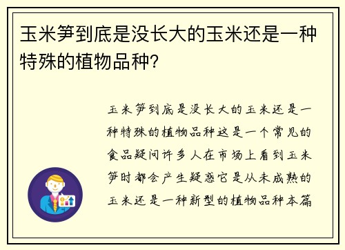 玉米笋到底是没长大的玉米还是一种特殊的植物品种？